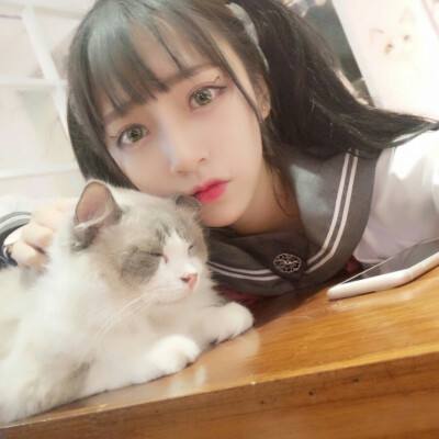 汉王纷争7713版下载